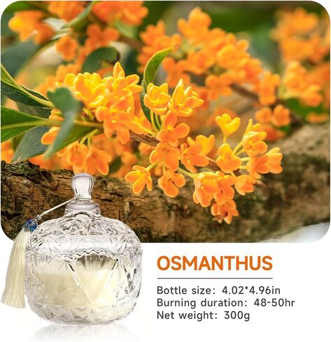 Glass Bowl Shape Soy Wax Scented Candles, Jar Candles for Home Scented or As a Holiday Candle Gift for Your Lover, Family, Elder, Friends and Colleagues (Candy Bowl Candles) in Saudi Arabia