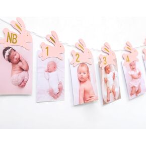 Bunny 1st Birthday Monthly Photo Banner - بعض الأرنب هو واحد نيبرون إلى 12 شهرًا لافتة صور لـ Grils ، وديكور عيد ميلاد عيد الفصح ، وموضوع الأرنب في السنة الأولى الشهرية.