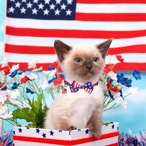 PTDECOR Halloween Cat Collars with Bow Tie Bell, 2 Pack Breakaway Kitten Collar with Removable Bowtie Pumpkin Halloween Collar for Girl Boy Cats (Black & Yellow) in Kuwait