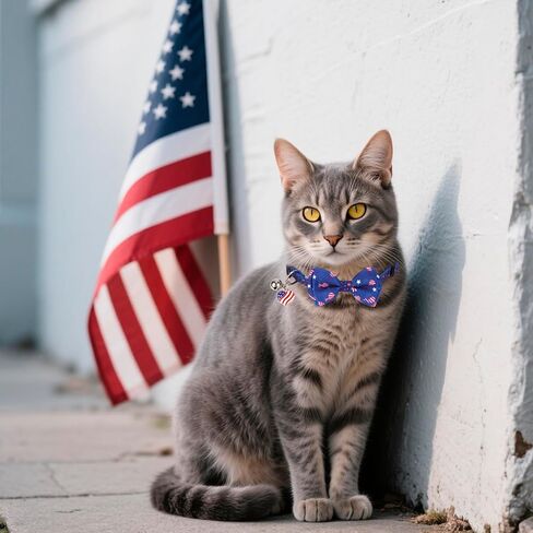 PTDECOR Halloween Cat Collars with Bow Tie Bell, 2 Pack Breakaway Kitten Collar with Removable Bowtie Pumpkin Halloween Collar for Girl Boy Cats (Black & Yellow) in Kuwait