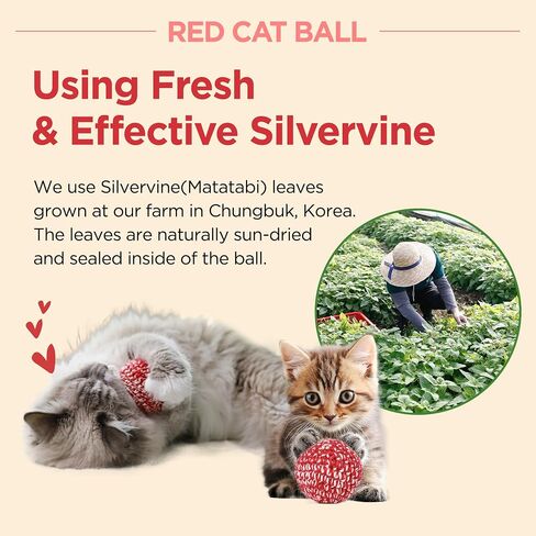 Jayu Pet Red Cat Ball [W/Pell Version] - Catnip Inside Cat Toy ، ألعاب Silvervine Ball ، ألعاب Cat للقطط الداخلية ، لعبة Cat Ball التفاعلية ، ألعاب القطط القاسية ، هدايا القط (2.7 في ، 7 سم) in Kuwait