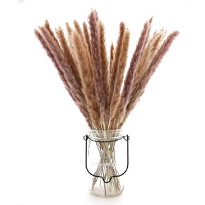 أعمدة ديكور عشب بامباس المجففة 60 قطعة 17 بوصة 100% فراغميت طبيعي لحفلات الزفاف DIY ترتيبات ديكورات المنزل (بني) in Kuwait