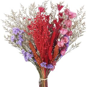 باقة زهور طبيعية مجففة ذيل أرنب مجفف زهور تنساني لا عاشق عشب قمح بوهو زهور اصطناعية حزمة ترتيبات زهور لطاولة محورية لحفلات الزفاف DIY ديكور المنزل in Kuwait