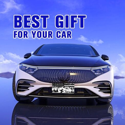 Dragon License Plate Cover Dragon Myth License Plate Funny Car Decoration Vanity Tag Stainless Steel License Plate Frame Fits Any Standard Us License Plate Holder 6.2x12.2 for Women Men Youth in Saudi Arabia