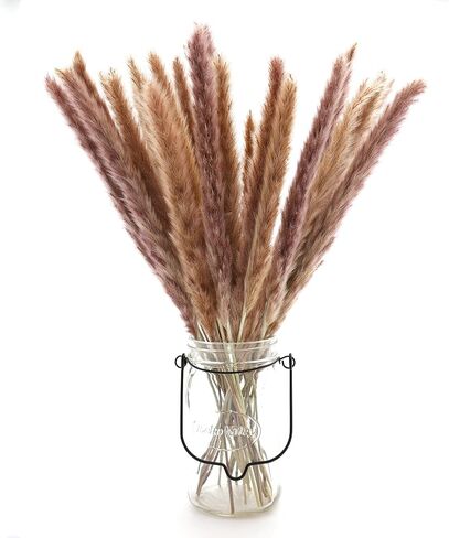 أعمدة ديكور عشب بامباس المجففة 60 قطعة 17 بوصة 100% فراغميت طبيعي لحفلات الزفاف DIY ترتيبات ديكورات المنزل (بني) in Kuwait