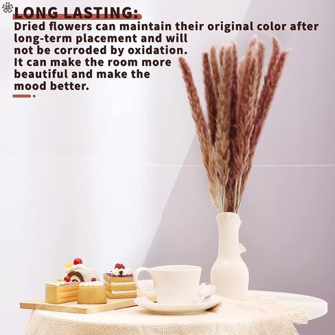 أعمدة ديكور عشب بامباس المجففة 60 قطعة 17 بوصة 100% فراغميت طبيعي لحفلات الزفاف DIY ترتيبات ديكورات المنزل (بني) in Kuwait