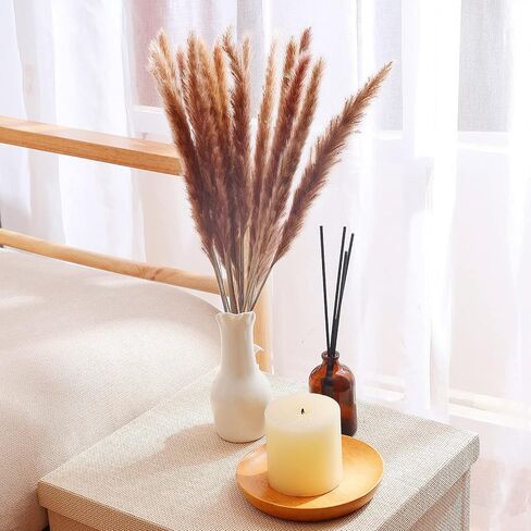 أعمدة ديكور عشب بامباس المجففة 60 قطعة 17 بوصة 100% فراغميت طبيعي لحفلات الزفاف DIY ترتيبات ديكورات المنزل (بني) in Kuwait