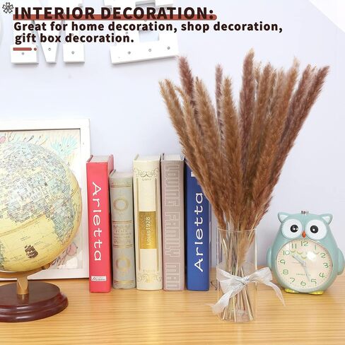 أعمدة ديكور عشب بامباس المجففة 60 قطعة 17 بوصة 100% فراغميت طبيعي لحفلات الزفاف DIY ترتيبات ديكورات المنزل (بني) in Kuwait