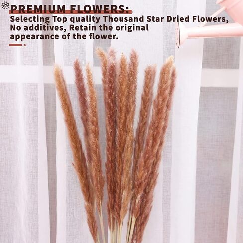 أعمدة ديكور عشب بامباس المجففة 60 قطعة 17 بوصة 100% فراغميت طبيعي لحفلات الزفاف DIY ترتيبات ديكورات المنزل (بني) in Kuwait