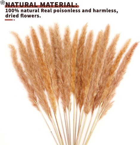 أعمدة ديكور عشب بامباس المجففة 60 قطعة 17 بوصة 100% فراغميت طبيعي لحفلات الزفاف DIY ترتيبات ديكورات المنزل (بني) in Kuwait