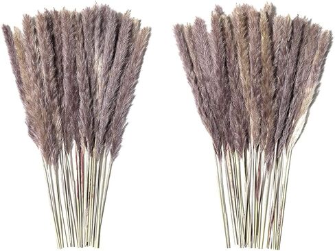 أعمدة ديكور عشب بامباس المجففة 60 قطعة 17 بوصة 100% فراغميت طبيعي لحفلات الزفاف DIY ترتيبات ديكورات المنزل (بني) in Kuwait