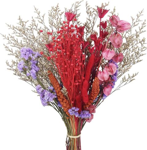 باقة زهور طبيعية مجففة ذيل أرنب مجفف زهور تنساني لا عاشق عشب قمح بوهو زهور اصطناعية حزمة ترتيبات زهور لطاولة محورية لحفلات الزفاف DIY ديكور المنزل in Kuwait