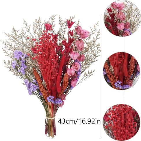 باقة زهور طبيعية مجففة ذيل أرنب مجفف زهور تنساني لا عاشق عشب قمح بوهو زهور اصطناعية حزمة ترتيبات زهور لطاولة محورية لحفلات الزفاف DIY ديكور المنزل in Kuwait