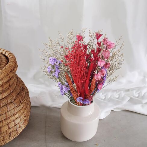 باقة زهور طبيعية مجففة ذيل أرنب مجفف زهور تنساني لا عاشق عشب قمح بوهو زهور اصطناعية حزمة ترتيبات زهور لطاولة محورية لحفلات الزفاف DIY ديكور المنزل in Kuwait