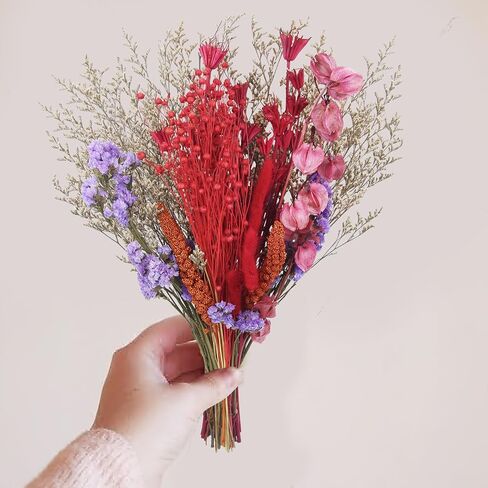 باقة زهور طبيعية مجففة ذيل أرنب مجفف زهور تنساني لا عاشق عشب قمح بوهو زهور اصطناعية حزمة ترتيبات زهور لطاولة محورية لحفلات الزفاف DIY ديكور المنزل in Kuwait