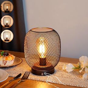 JHY Design Dimmable Touch Bedside Table LAMP مجموعة من 2 مصباح بطارية قابلة لإعادة الشحن مع مصباح LED اللحم اللاسلكي لحفلات حفلات الزفاف أحداث الفناء في الداخل (قاعدة معدنية ، بيضة برونزية)