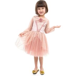 Little Adventures Vintage Sleeping Beauty Party Princess Dress Up Costum