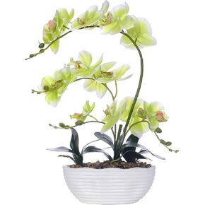19" H Phalaenopsis Faux Orchid Plant Silk Orchid Centerpiece Artificial Floral Arrangement in Ceramic Pot (White)