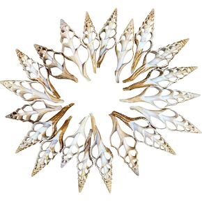 Heyiwell 20PC Center Cut Turris Shells for Crafts Beach Theme Party Home Decor 2" ~ 3" Inch