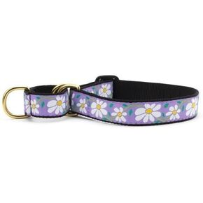Up Country Daisy Martingale Dog Collar - Medium (12.5-20 Int) - 1 في العرض