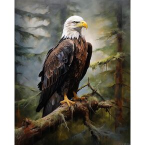 Zuvrdiai Digital Painting Bald Eagle ، Paint by Number ، Art DIY Art مع قماش ، دهانات وفرش ، 40x50 سم ، بدون إطار