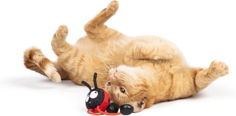 Huxley & Kent Chirpy Plush Cat Toy - Holiday Interactive Catnip Toy with Touch Activated Sounds - Soft with Crinkle & Catnip - Fun Indoor Play - Holiday Bird Chirpy in Kuwait
