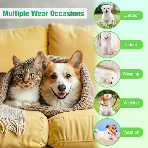 Winmany 2 Pieces Small Dogs Clothes Solid Color Puppy Summer Tank Top for Girl Boy Cute Chihuahua Shih Tzu Pomeranian Shirts Vest in Saudi Arabia