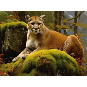 Goldyyyfrog Mountain Lion Art Art Diamond Painting للبالغين ، أسد حيوان كامل الحفر الماس اللوحة كروس غرزة الكريستال الراين رائع لديكور الحمام أو الهدايا 12x16 بوصة