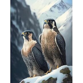 HEYKYY Diamond Painting Kits for Adults, Two Peregrine Falcon 5D DIY Diamond Art Kits, Full Drill Diamond for Gift Wall Decor Gem Arts Funny Animals 12x16 inch
