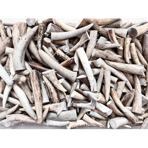 نصائح Pepperlonly Deer Onler للحرف اليدوية - نقاط Tine Antler للفنون أو التبديل (طبيعية ، 1 بوصة ، 20 ٪)