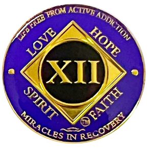 NA 12 Year Golden Color Plated Medallion, Recovery Coin, NA Token, Narcotics Anonymous Recovery Chip