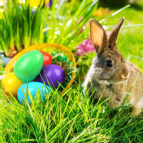 NEWBEA Jumbo Easter Eggs, 18Pcs Large Fillable Easter Egg 6 Inch Assorted Colors, Gaint Easter Eggs Plastic for Hunt Party Supplies, Large Enough to Hold Toys, Candy and Stuffed Animals in Saudi Arabia