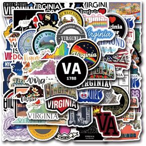 حزمة ملصقات Virginia 62pcs ، كرتون جمالي لطيف فينيل شارات مقاومة للماء لزجاجة المياه ، الكمبيوتر المحمول ، الهاتف ، لوح التزلج ، سكرابوكينغ ، مصد للأطفال المراهقين البالغين لتزويد الحفلات بالحفلات