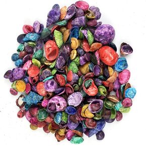 قذائف البحر الهندية الصغيرة المصبوغة من أجل منزل حفل زفاف ديكور زفاف DIY الحرف اليدوية وموزع المزهرية 8oz apprx 230+ PC Shells 3/4 "~ 1-1/4" بوصة
