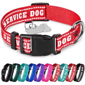 طوق الحيوانات الأليفة العاكسة Teceum - Red - Dog Dog - M - طوق الكلب الأساسي - مشبك سرعان