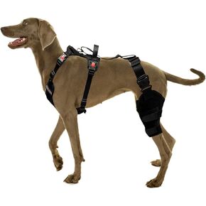 Professional Dog Knee Brace with Harness - Ultimate Joint Support and Mobility Aid for ACL, CCL, and Joint Injuries (Large)