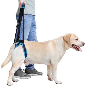 Doglemi Dog Lift Harness Portable Liftting Sling Swing Sbay ساعد الكلاب ذات الساقين الخلفية الضعيفة لعملية كبيرة من الكلاب الكبيرة التي تعاني من التخفيف من آلام المشي ...