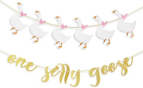 TaoBary One Silly Goose Banner Glitter One Silly Goose Birthday Decor Funny Pink 1st First Birthday Banner for Girl Party Decorations in Saudi Arabia