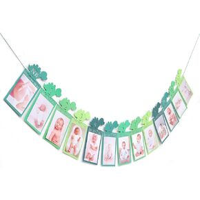 Dinosaur 12 Months Photo Banner - Dinosaur First Birthday Photo Banner,Wild One Birthday Decorations For Boys,From Newborn To 12 Month Photo Banner, Woodland Monthly Milestone Photo Banner