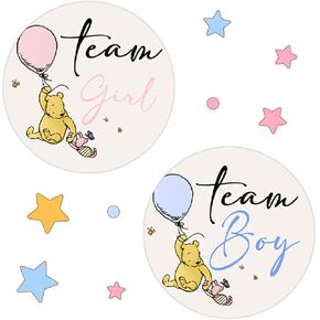 Winnie Baby Shower Decoration, Winnie Gender Reveal Decorations, The Pooh Stickers, Team Boy Or Girl Stickers, Gender Reveal Games for Voting Game, Gender Reveal Party 72PCS Sticker