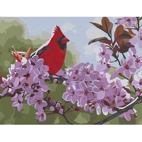 yiyue paint by number for bealder beginns ، diy gift canvas kits for boys girls ، red bird do to kit ، diy acryl paint carple for home home wall 16x20inch ، no.3