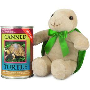 Stuffed Animal: Land Turtle 6"