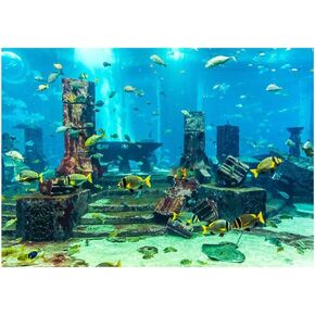 Aquarium Underwater Poster, Fish Tank PVC Coral Wall Decoration Background Sticker Underwater City Ruins Aquarium Ornament Paper Cling Decals Image (61 x 41cm)
