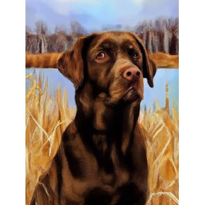 Ginfonr 5d Diamond Art Painting Kits Black Dog Cloy Cloy By Thurse Kits ، Labrador DIY Paint with Diamonds Art Rhinestone Craft Decor