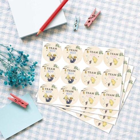 Winnie Baby Shower Decoration, Winnie Gender Reveal Decorations, The Pooh Stickers, Team Boy Or Girl Stickers, Gender Reveal Games for Voting Game, Gender Reveal Party 72PCS Sticker in Kuwait
