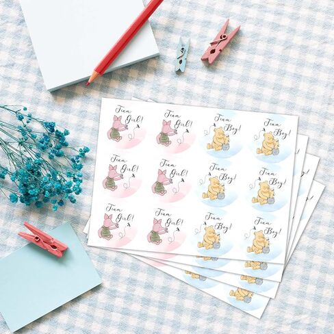 Winnie Baby Shower Decoration, Winnie Gender Reveal Decorations, The Pooh Stickers, Team Boy Or Girl Stickers, Gender Reveal Games for Voting Game, Gender Reveal Party 72PCS Sticker in Kuwait