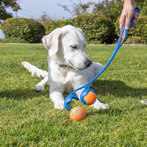 Chuckit! EcoFetch 18M Dog Ball Launcher (18" Length), Includes Medium (2.5") Rubber EcoFetch Fetch Ball, for Dogs 20-60lbs in Kuwait