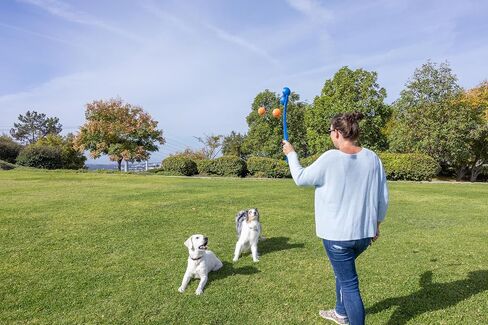 Chuckit! EcoFetch 18M Dog Ball Launcher (18" Length), Includes Medium (2.5") Rubber EcoFetch Fetch Ball, for Dogs 20-60lbs in Kuwait