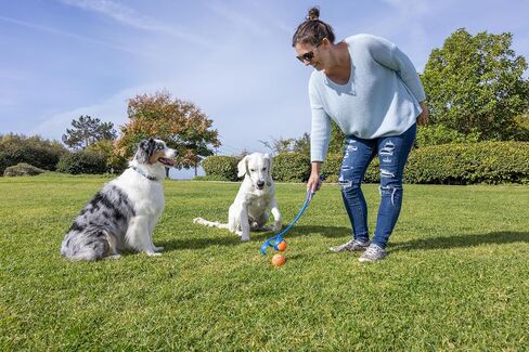 Chuckit! EcoFetch 18M Dog Ball Launcher (18" Length), Includes Medium (2.5") Rubber EcoFetch Fetch Ball, for Dogs 20-60lbs in Kuwait