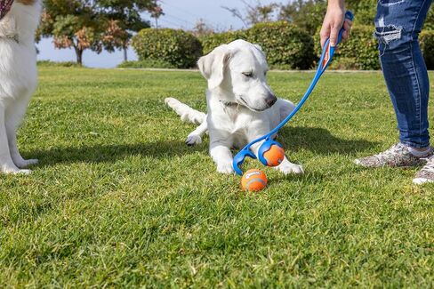 Chuckit! EcoFetch 18M Dog Ball Launcher (18" Length), Includes Medium (2.5") Rubber EcoFetch Fetch Ball, for Dogs 20-60lbs in Kuwait